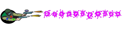 Paintball desc ○○○Custom Built Computer   AMD Dual Core○○○