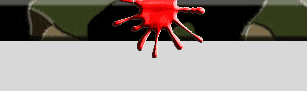 ○○○Custom Built Computer AMD Dual Core○○○ paintball tp ○○○Custom Built Computer AMD Dual Core○○○