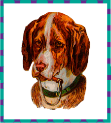 Dog Coat Knitting Pattern | eBay